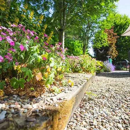 Terraced Houses Courtyard Garlow Cross Eir04048 Iyh